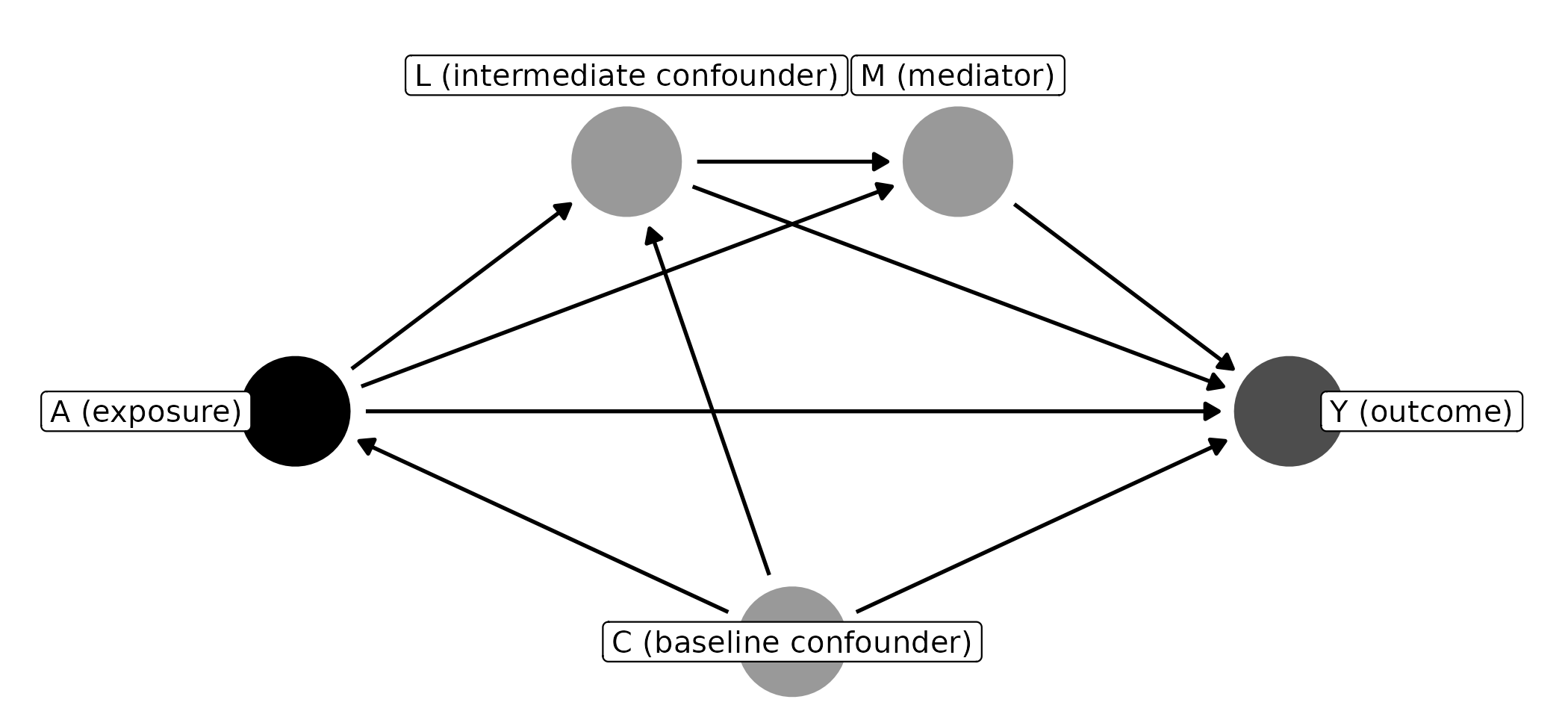 DAG: C causes A, L, and Y. A causes L, M, and Y. L causes M and Y. M causes Y.