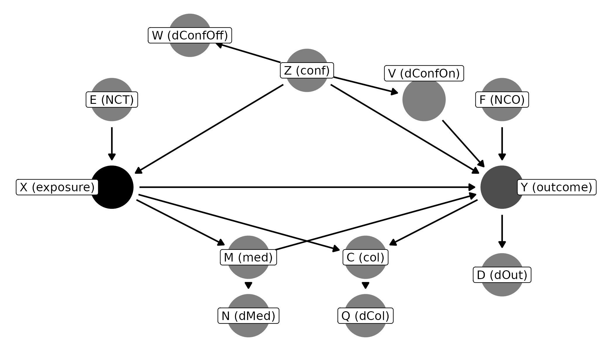 DAG with exposure X and outcome Y. Z (confounder) causes X and Y, and causes V, which causes Y, and W. X causes M (mediator), which causes Y and N. X and Y both cause C (collider), which causes Q. Y causes D. E causes X only; F causes Y only.